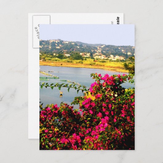 Roze bloemen briefkaart (Voorkant / Achterkant)