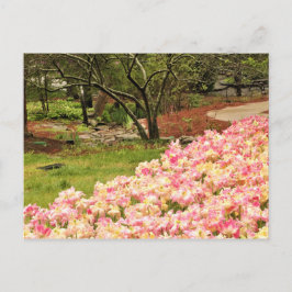 Roze bloemen briefkaart
