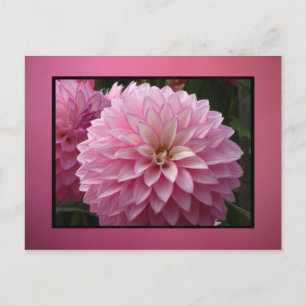 Roze bloemen briefkaart
