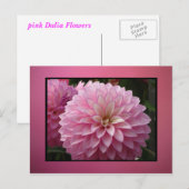 Roze bloemen briefkaart (Voorkant / Achterkant)