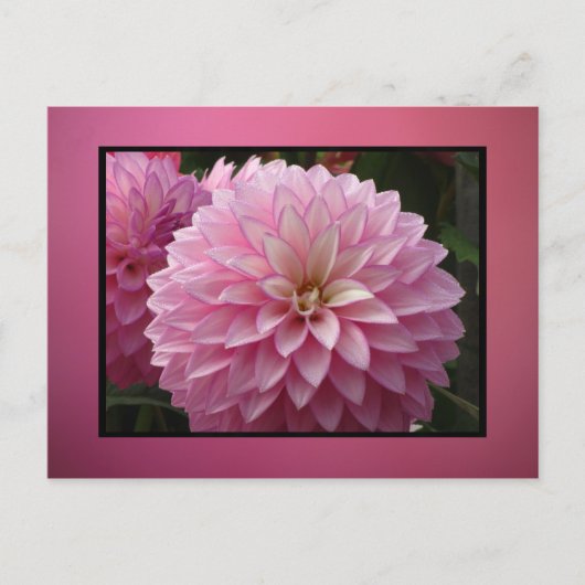 Roze bloemen briefkaart (Voorkant)