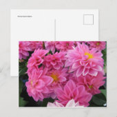 Roze bloemen briefkaart (Voorkant / Achterkant)