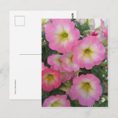 Roze bloemen briefkaart (Voorkant / Achterkant)