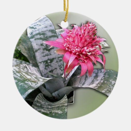 Roze bloemen Bromeliad Keramisch Ornament (Voorkant)