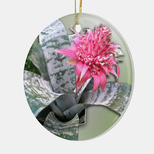 Roze bloemen Bromeliad Keramisch Ornament (Links)