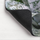 Roze bloemen Bromeliad Muismat (Hoek)