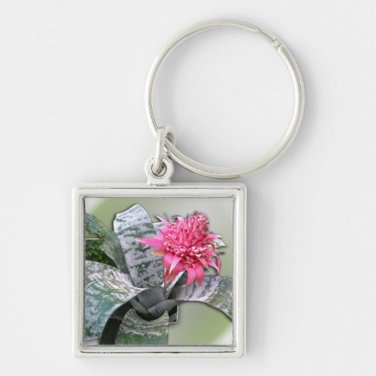 Roze bloemen Bromeliad Sleutelhanger (Voorkant)