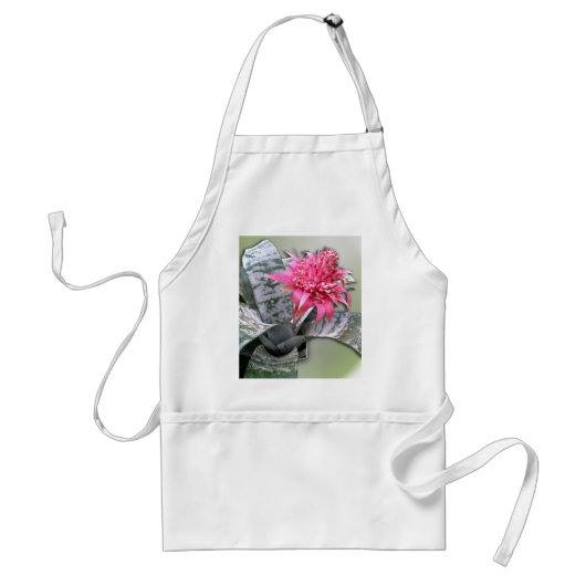 Roze bloemen Bromeliad Standaard Schort (Voorkant)