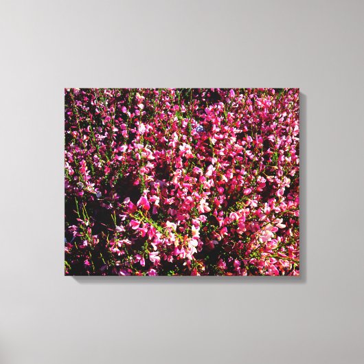  roze bloemen canvas afdruk (Voorkant)