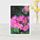 Roze Bloemen - de Verjaardag van de Schoonzuster Kaart (Gele Bloem)