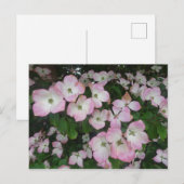 Roze bloemen - DIY Briefkaart (Voorkant / Achterkant)