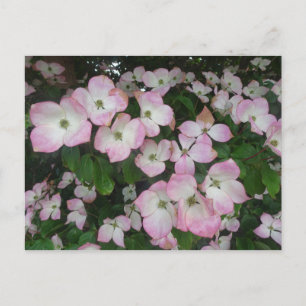 Roze bloemen - DIY Briefkaart