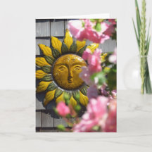 Roze bloemen en Sun - Martha's wijntuin