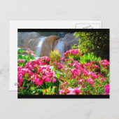 Roze bloemen en waterval briefkaart (Voorkant / Achterkant)