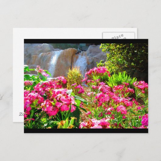Roze bloemen en waterval briefkaart (Voorkant / Achterkant)