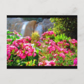 Roze bloemen en waterval briefkaart (Voorkant)