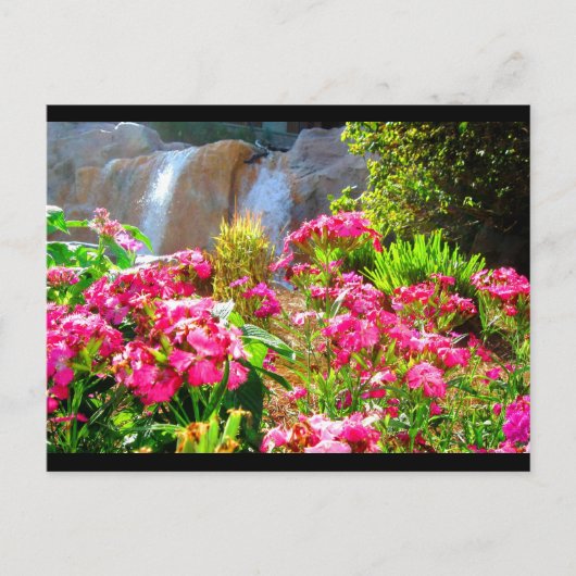 Roze bloemen en waterval briefkaart (Voorkant)