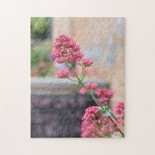 roze bloemen Engelse tuin Natuur Foto Legpuzzel