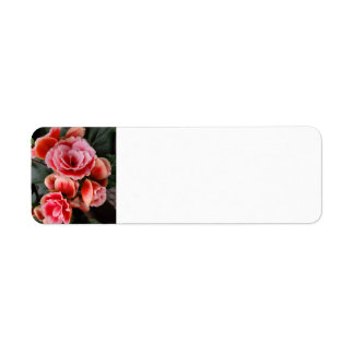 Roze bloemen etiket