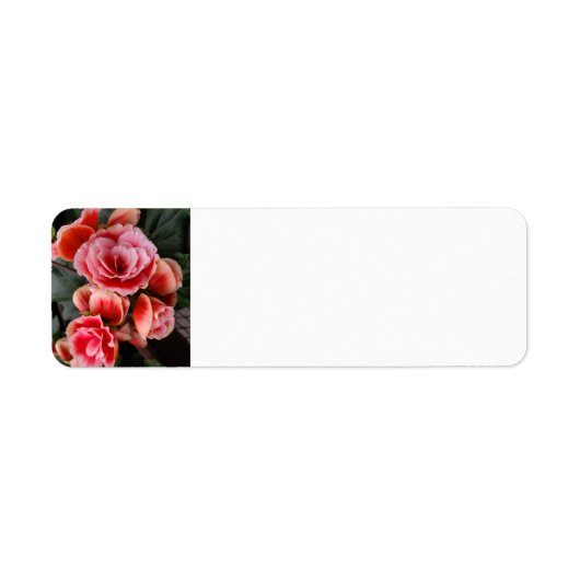 Roze bloemen etiket (Voorkant)