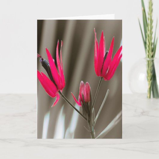 Roze bloemen feestdagen kaart (Voorkant)