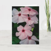 Roze Bloemen Floral Art Blank Note Kaart (Voorkant)