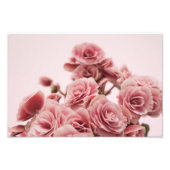  roze bloemen foto afdruk (Voorkant)