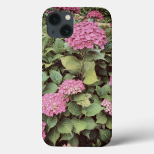 Roze Bloemen Foto Apple iPhone 7, Tough Xtreme 13 Hoesje