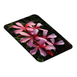 Roze Bloemen Foto Magneet