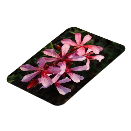 Roze Bloemen Foto Magneet (Linkerzijde)