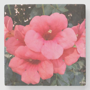 Roze Bloemen Foto Marmeren Steen Onderzetter