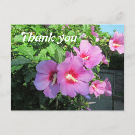 Roze bloemen fotografie bedankt briefkaart