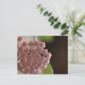 Roze bloemen Fotografie Briefkaart (Staand voorkant)