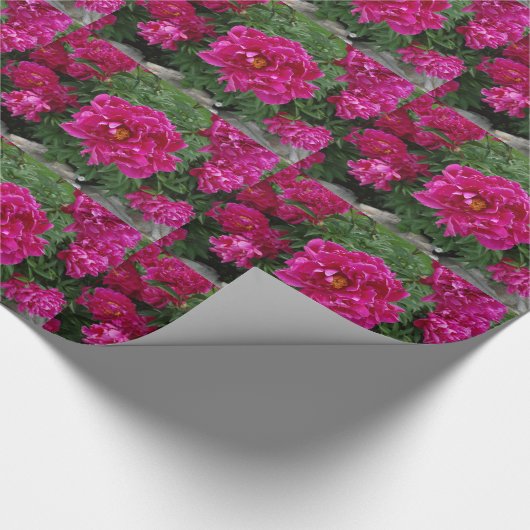 Roze Bloemen Fotografie Wrapping Papier (Hoek)