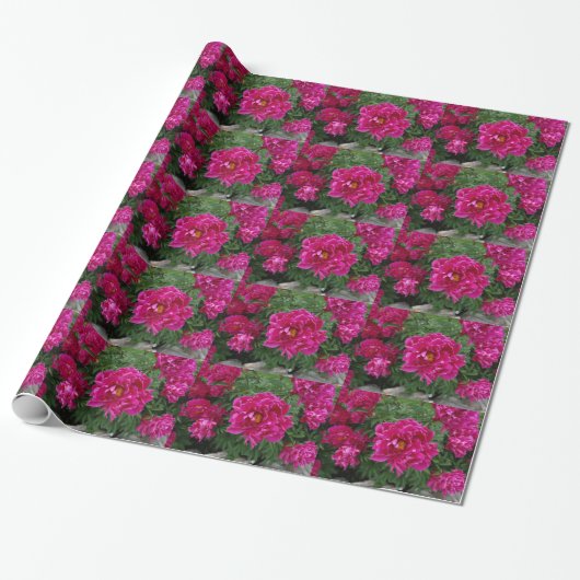 Roze Bloemen Fotografie Wrapping Papier (Uitgerold)