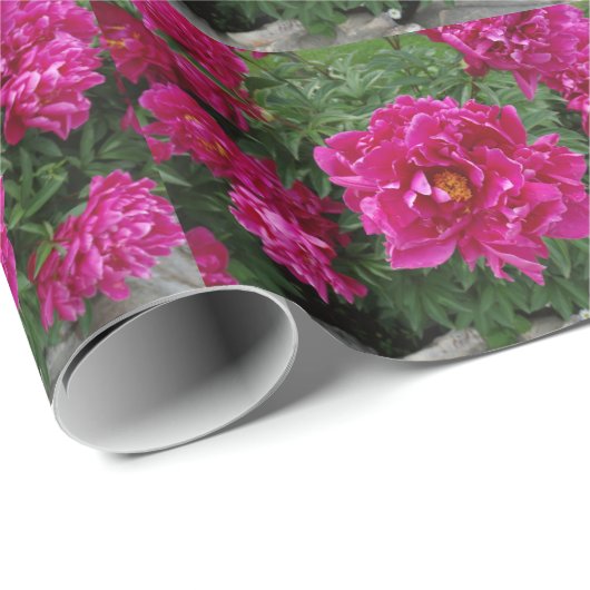 Roze Bloemen Fotografie Wrapping Papier (Rol Hoek)