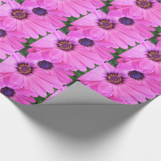 Roze bloemen Gerbera Daisy Floral Cadeaupapier (Hoek)