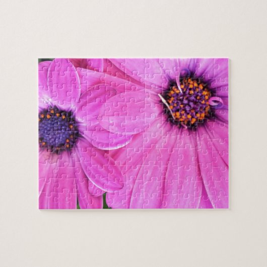 Roze bloemen Gerbera Daisy Floral Legpuzzel (Horizontaal)