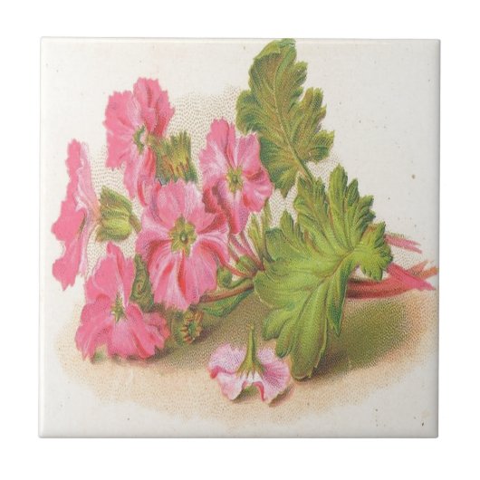 , roze bloemen, groene bladeren, tegeltje (Voorkant)