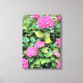Roze Bloemen Hydrangea Enkele Print