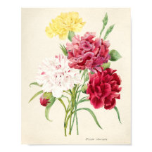 Roze Bloemen Illustratie voor Artsy