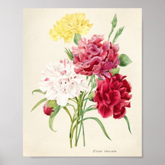 Roze Bloemen Illustratie voor Artsy Poster (Voorkant)