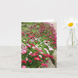 Roze Bloemen in Bloei Kaart