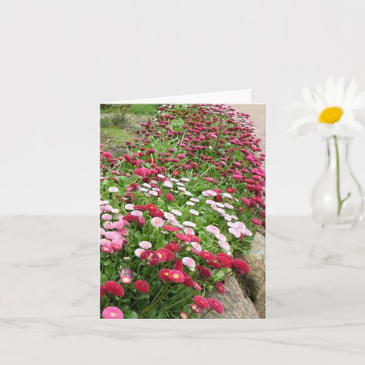 Roze Bloemen in Bloei Kaart (Kleine Plant)
