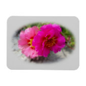 Roze bloemen in de zon magneet (Horizontaal)