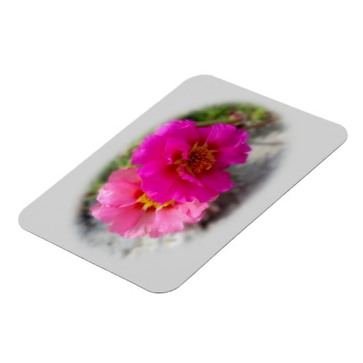 Roze bloemen in de zon magneet (Linkerzijde)