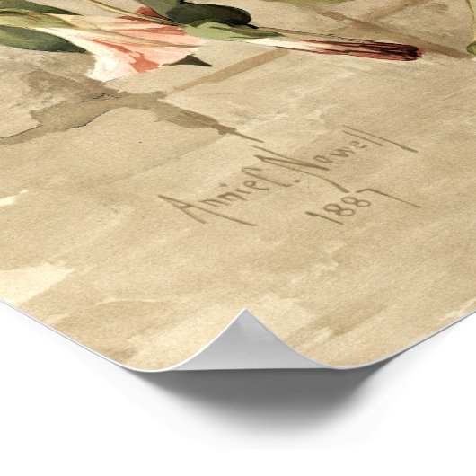 Roze bloemen in hangende fase poster (Hoek)