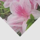 roze bloemen, japans, azian, chinees, mode, griet tissuepapier (Detail)