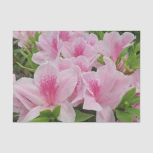 roze Bloemen,japans,aziatisch,chinees,mode,groet Tissuepapier
