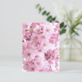 Roze bloemen Japanse Cherry Blossom Briefkaart (Staand voorkant)